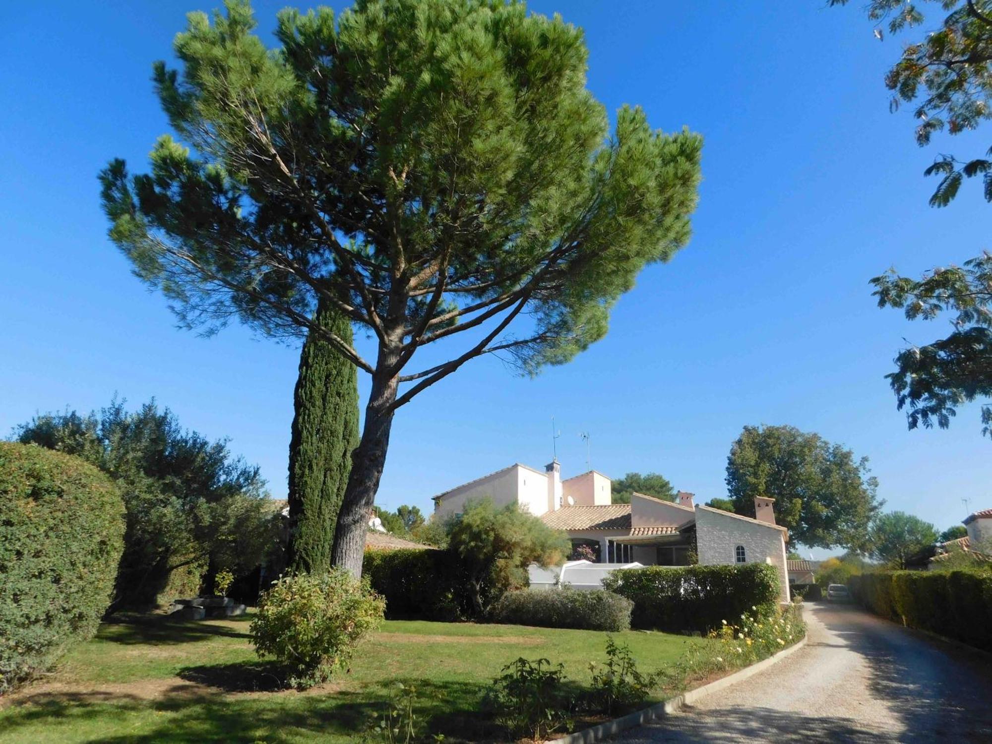 Les Bougainvillees De Camargue Villetelle Zewnętrze zdjęcie