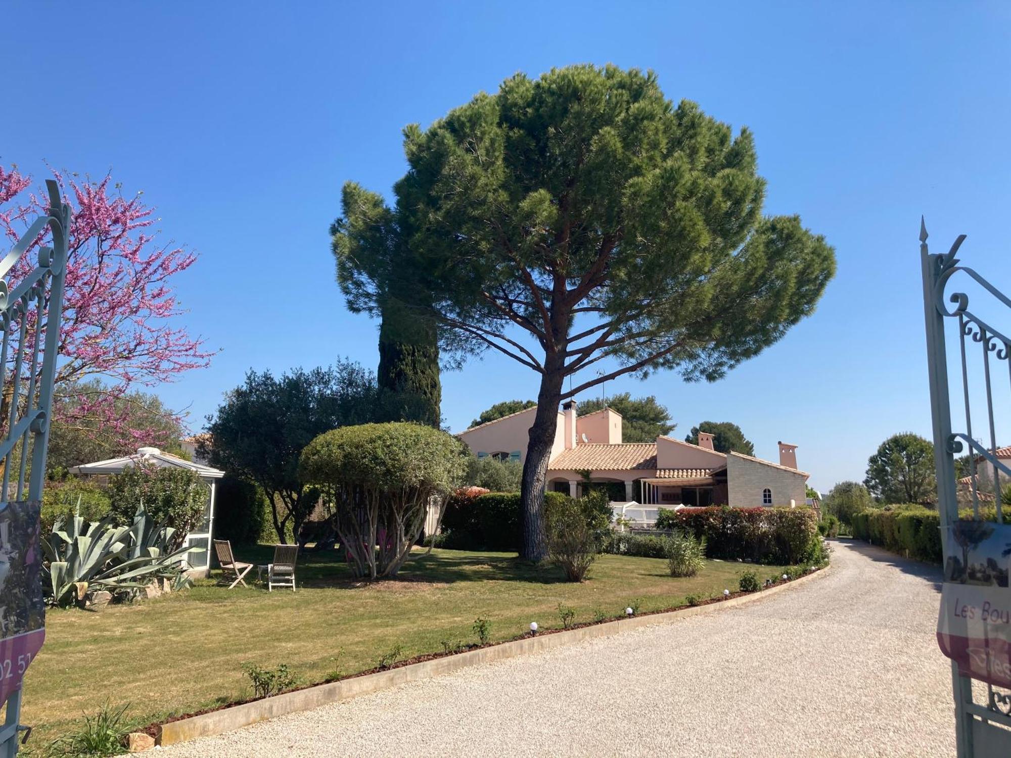 Les Bougainvillees De Camargue Villetelle Zewnętrze zdjęcie