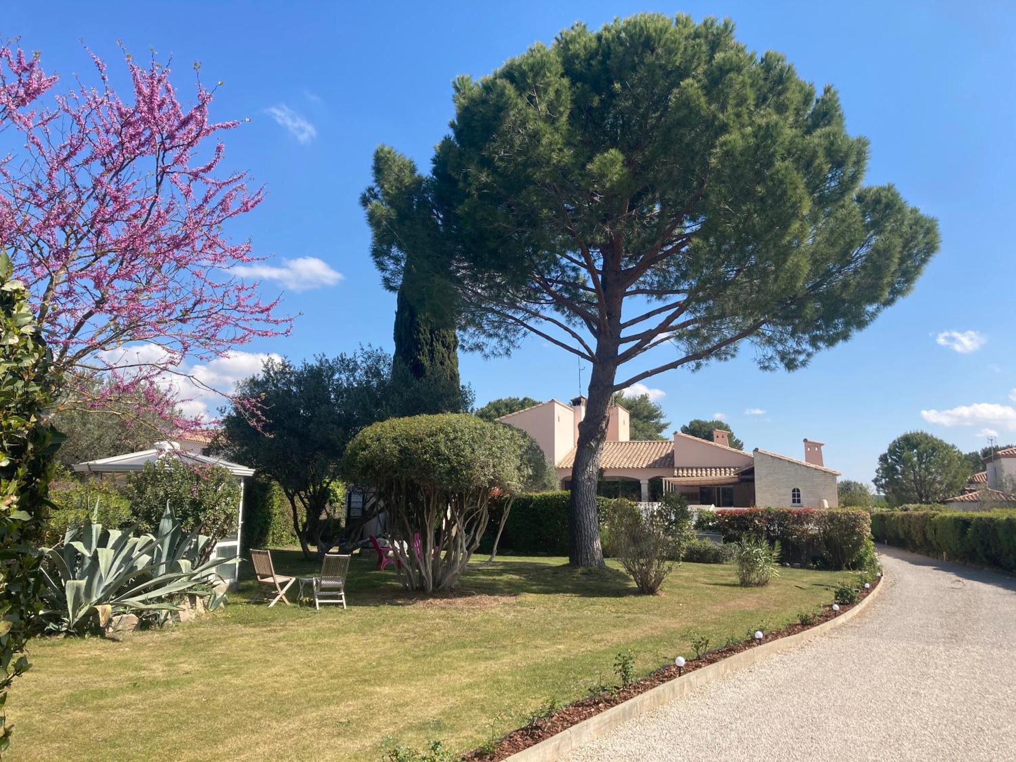 Les Bougainvillees De Camargue Villetelle Zewnętrze zdjęcie